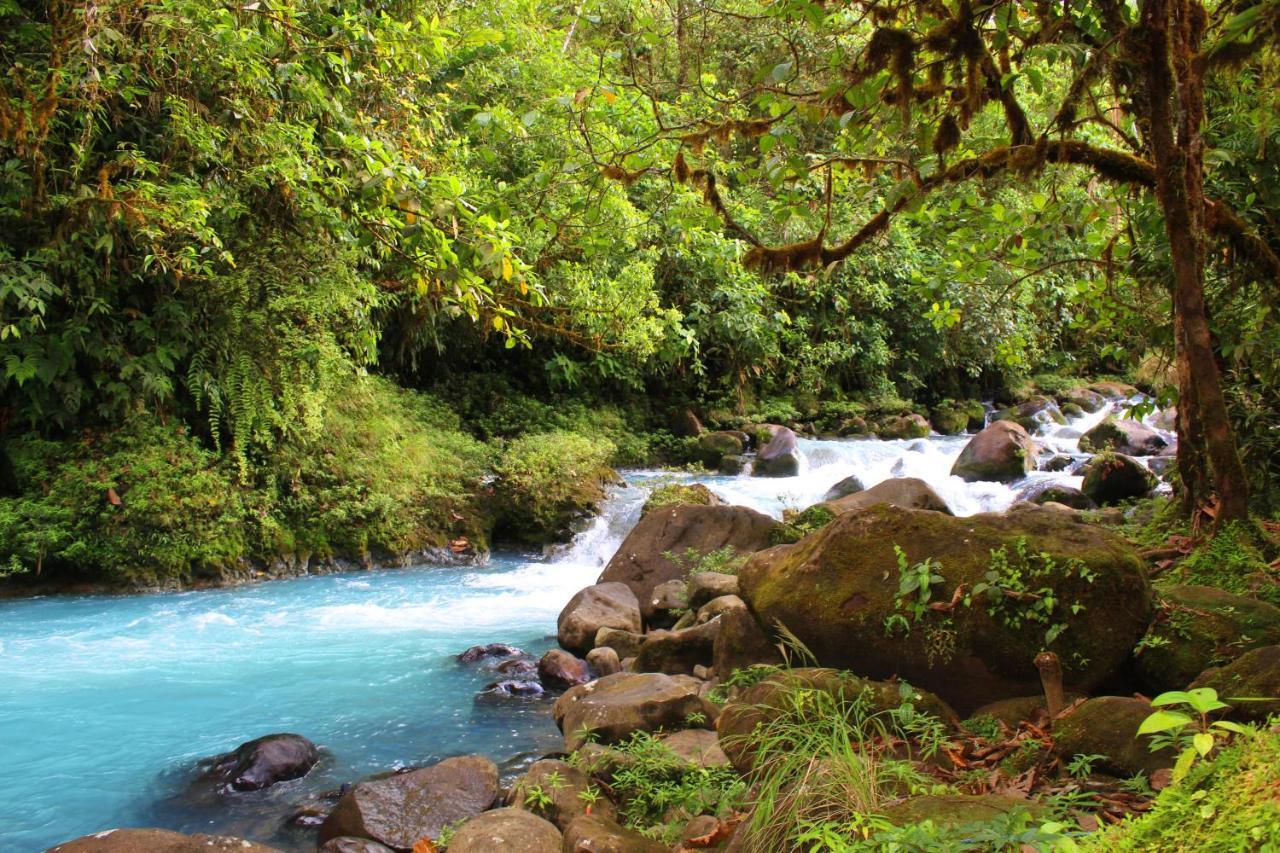 Rio Celeste Nature View Upala Exterior foto
