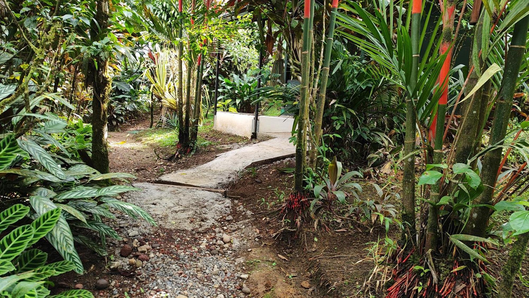 Rio Celeste Nature View Upala Zimmer foto